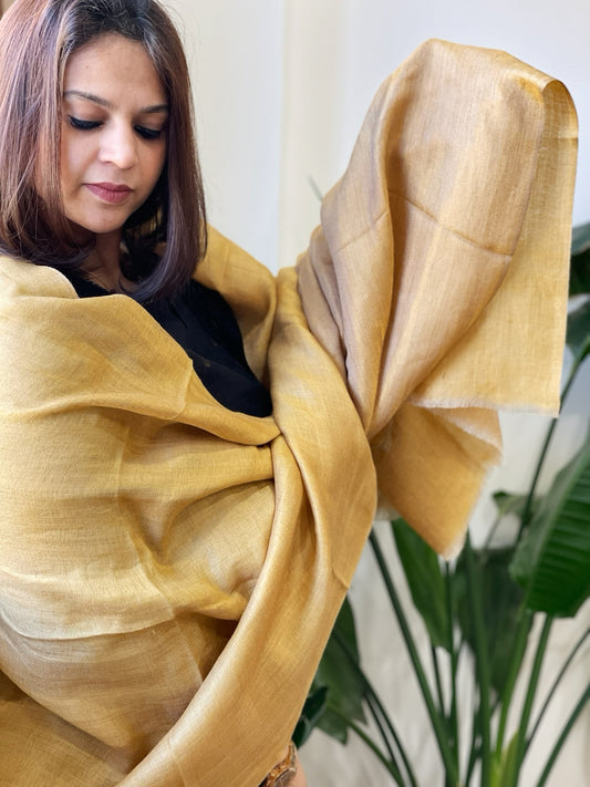 Goldenish Mustard Pashmina Stole with Zari