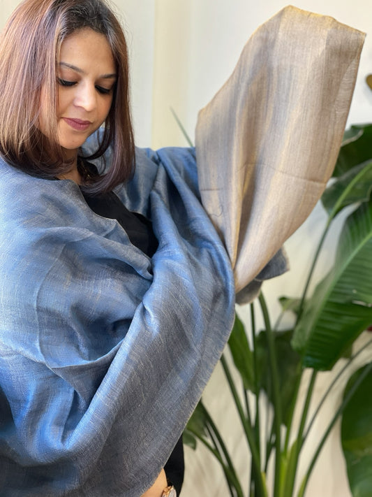 Blue Pashmina Stole with Zari