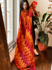 Burnt Orange & Maroon Handmade Jaal Phulkari Dupatta in Pure Chinon