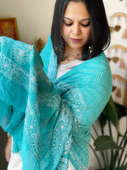 Blue Rai Bandhej Dupatta with Lucknowi Handwork in Pure Georgette