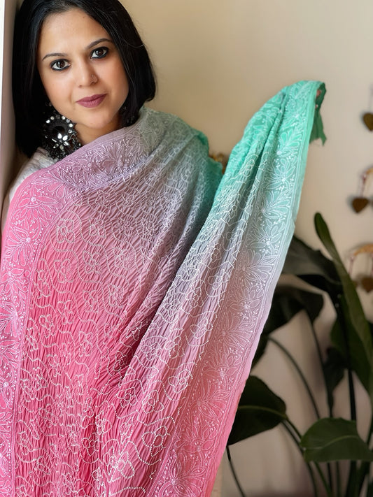 Pink, Blue Rai Bandhej Dupatta with Lucknowi Handwork in Pure Georgette