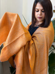 Orange Pashmina Shawl with Zari