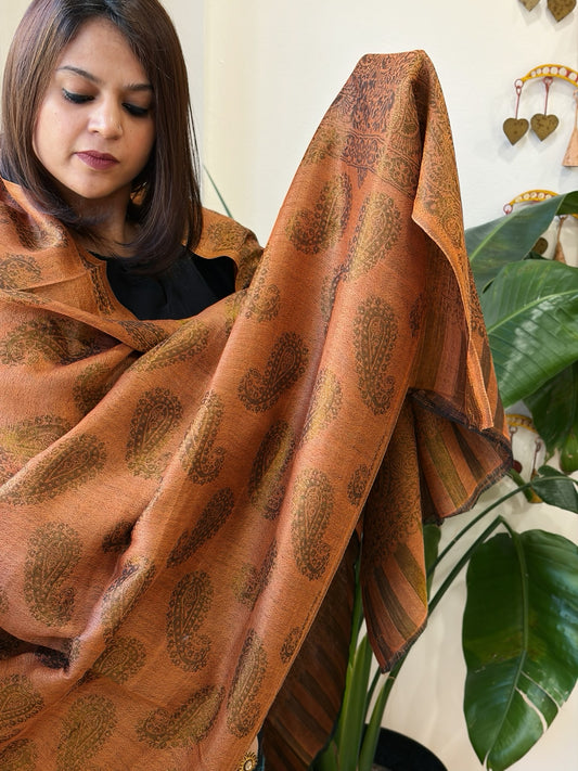 Burnt Orange Pashmina Shawl with Zari