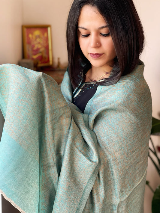 Turquoise Pashmina Stole with Zari