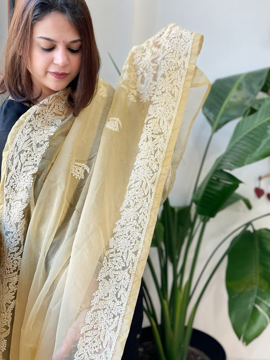 Beige Organza dupatta with Lucknowi Handwork