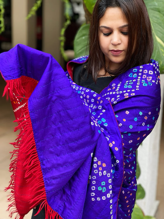 Purlpish Blue Handwoven Woollen Shawl with Handmade Bandhani and Kantha in Pure Silk