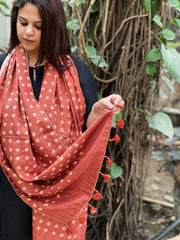 Ajrakh Handblock Printed Silk-Woollen Stole