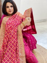 Pink Handwoven NeemZari Bareek Bandhani with Meenakari and Dabka Handwork in Pure Georgette