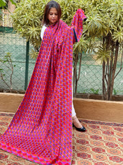Reddish Maroon Designer Phulkari Dupatta in Chinon