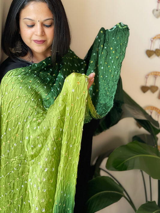 Green Bandhani Dupatta with Zari Pallu in Modal Silk