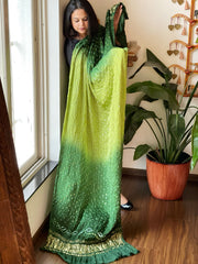 Green Bandhani Dupatta with Zari Pallu in Modal Silk