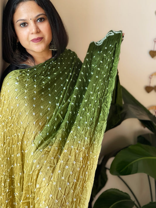 Green Bandhani Dupatta with Zari Pallu in Modal Silk