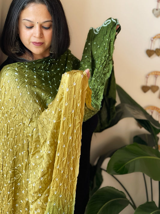 Green Bandhani Dupatta with Zari Pallu in Modal Silk