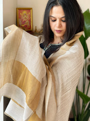 Brownish Grey Pashmina Shawl with Zari