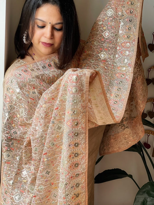 Peach Organza Dupatta with Thread & Sequin Embroidery