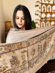 Lite Brown Woven Pashmina Shawl with Self and Kaani Pallu