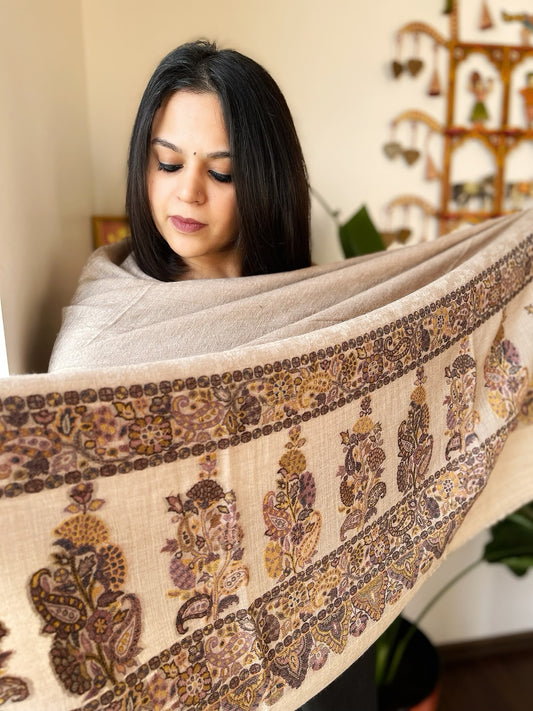 Lite Brown Woven Pashmina Shawl with Self and Kaani Pallu