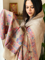 Lite Brown Woven Pashmina Shawl with Self and Kaani Pallu