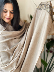 Lite Brown Woven Pashmina Shawl with Self and Kaani Pallu