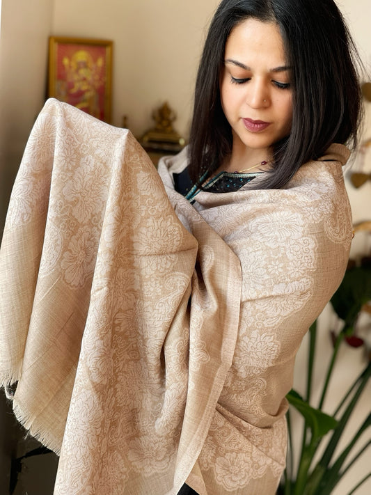 Lite Brown, Off-White Woven Pashmina Stole with Floral Kaani Pallu