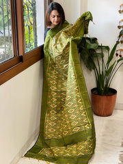 Green Handwoven Ikat Dupatta in Pure Silk