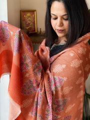 Orange Woven Pashmina Stole with Self and Kaani Pallu