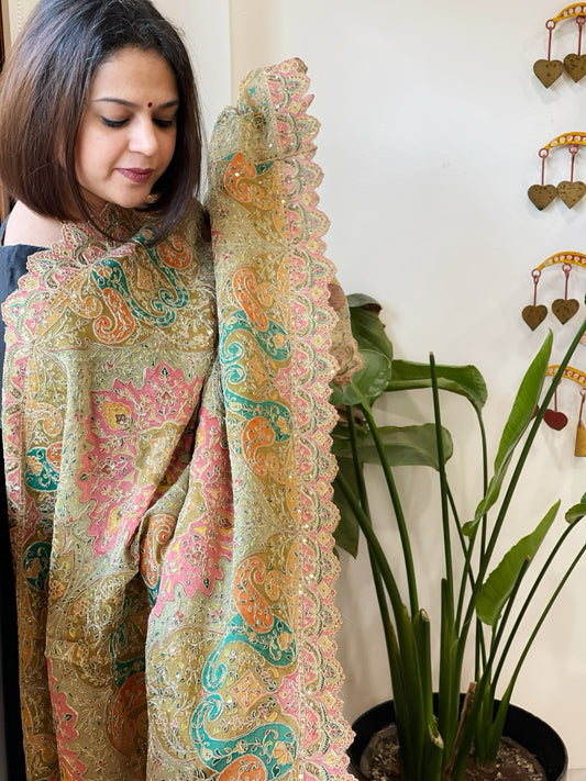 Dusty Green Chinon Dupatta with Aari Embroidery