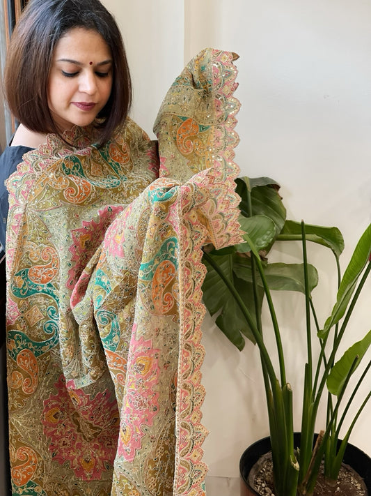 Dusty Green Chinon Dupatta with Aari Embroidery