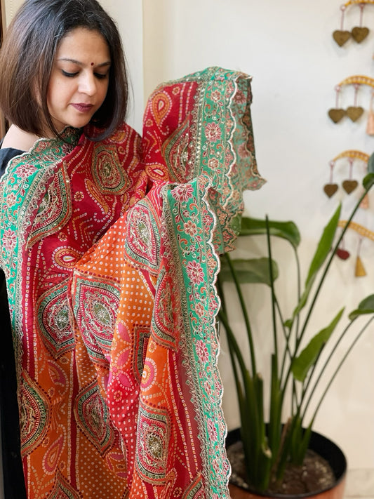 Orange, Red Chinon Dupatta with Aari Embroidery