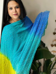 Rai Bandhej Dupatta in Pure Georgette
