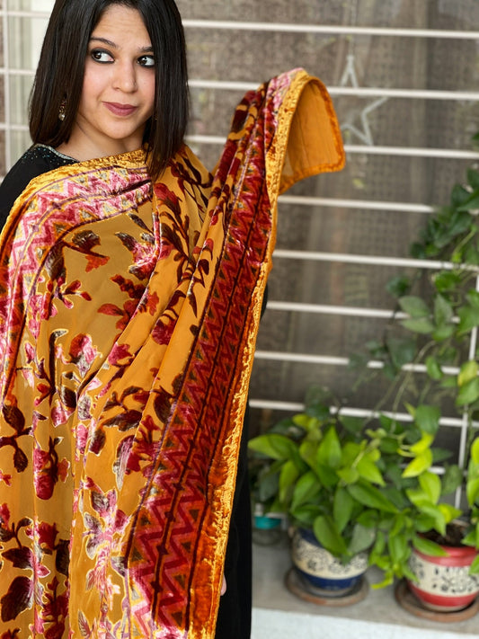 Net Dupatta with Floral Velvet Design