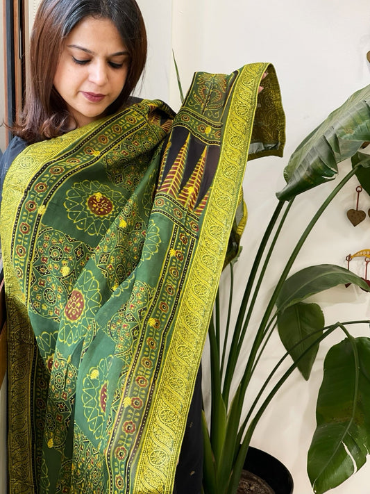 Ajrakh Handblock Printed Organza Dupatta with Banarasi Border - Masakalee