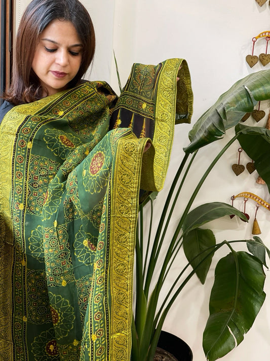Ajrakh Handblock Printed Organza Dupatta with Banarasi Border - Masakalee
