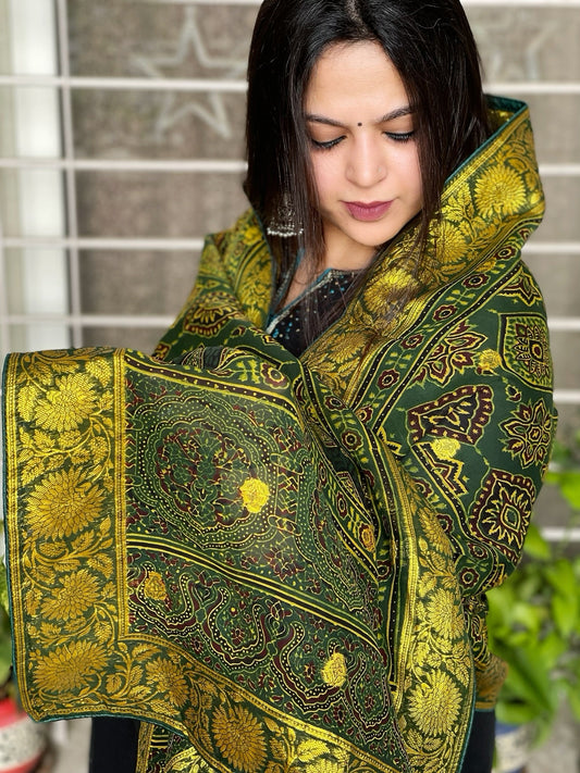 Ajrakh Handblock Printed Organza Dupatta with Banarasi Pallu - Masakalee