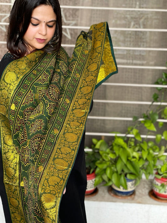 Ajrakh Handblock Printed Organza Dupatta with Banarasi Pallu - Masakalee