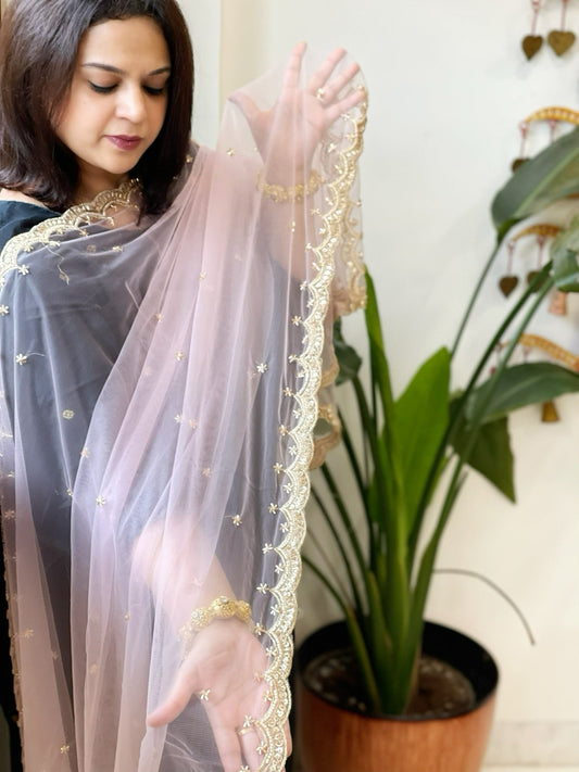 Baby Pink Net Dupatta with Pearl, Sequin and Cut Daana Embroidery - Masakalee