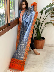 Blue Handwoven Ikat Dupatta with Handpainted Madhubani in Cotton - Masakalee