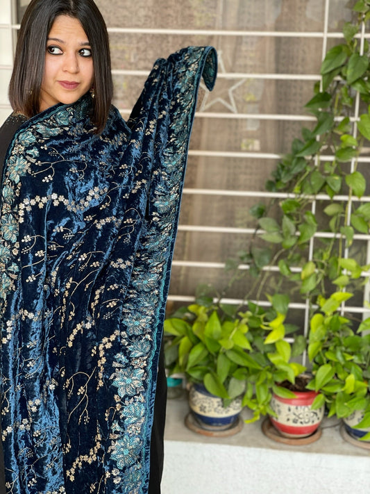 Blue Velvet Dupatta with Thread Embroidery - Masakalee