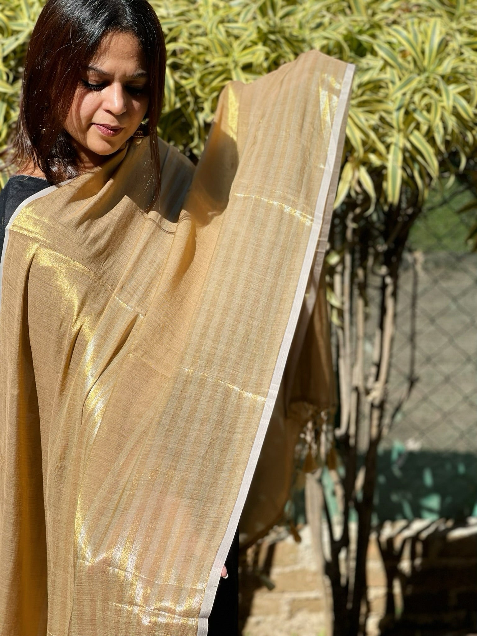 Chanderi Dupatta with Sona Rupa Zari - Masakalee