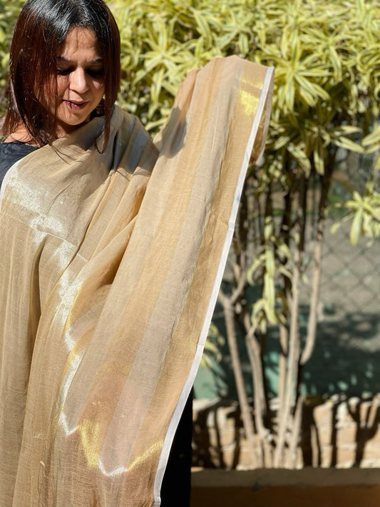 Chanderi Dupatta with Sona Rupa Zari - Masakalee