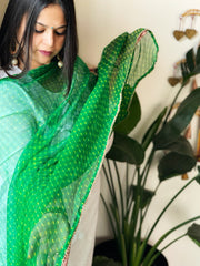 Chiffon Leheriya Dupatta cum Stole with Gota Lace Border - Masakalee