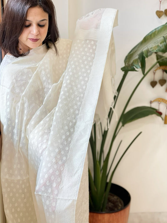 Cream Handwoven Chanderi Dupatta with Self Weaving and Cut Work Pallu - Masakalee