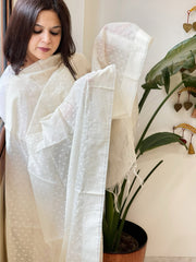 Cream Handwoven Chanderi Dupatta with Self Weaving and Cut Work Pallu - Masakalee