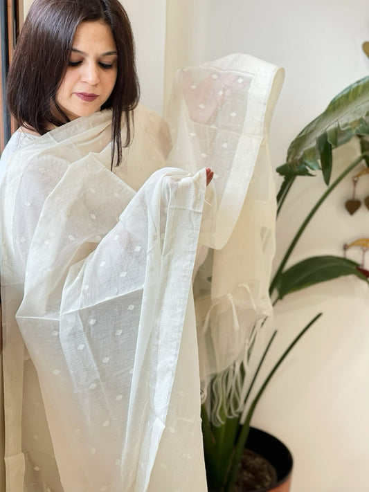 Cream Handwoven Chanderi Dupatta with Self Weaving and Cut Work Pallu - Masakalee