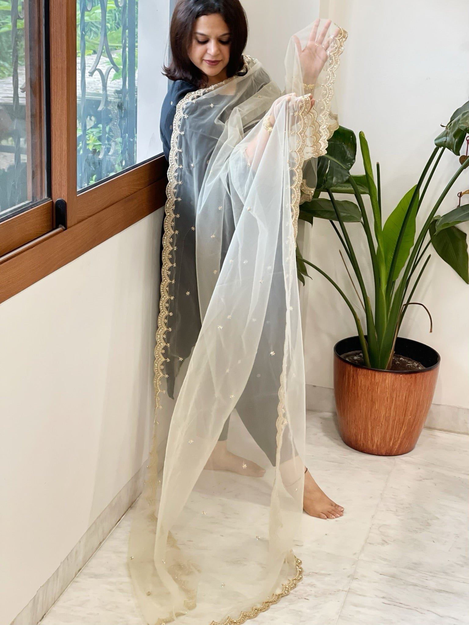 Cream Net Dupatta with Pearl, Sequin and Cut Daana Embroidery - Masakalee