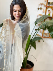 Cream Net Dupatta with Pearl, Sequin and Cut Daana Embroidery - Masakalee