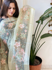 Cream with Lime Tinge Organza Dupatta with Thread Embroidery - Masakalee