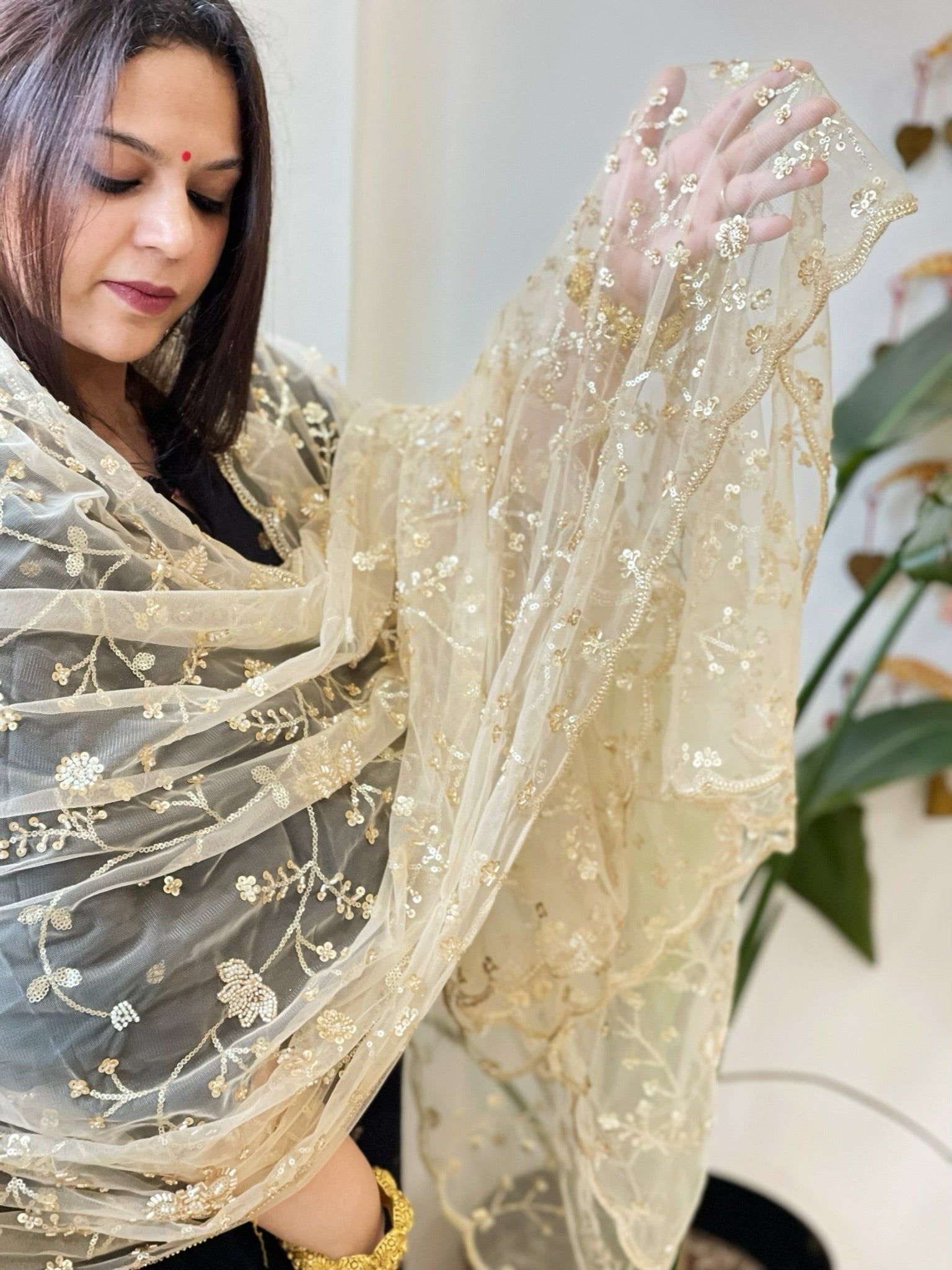 Gold Net Dupatta with Sequin and Cut Daana Embroidery - Masakalee