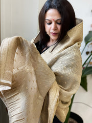 Gold Woven Banarasi Dupatta in Tissue - Masakalee