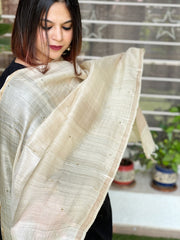 Gotapatti Handwork Dupatta in Pure Tussar Silk - Masakalee